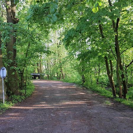 Gospodarstwo Agroturystyczne Stary Mlyn Wilczkowice Michalowice  Εξωτερικό φωτογραφία