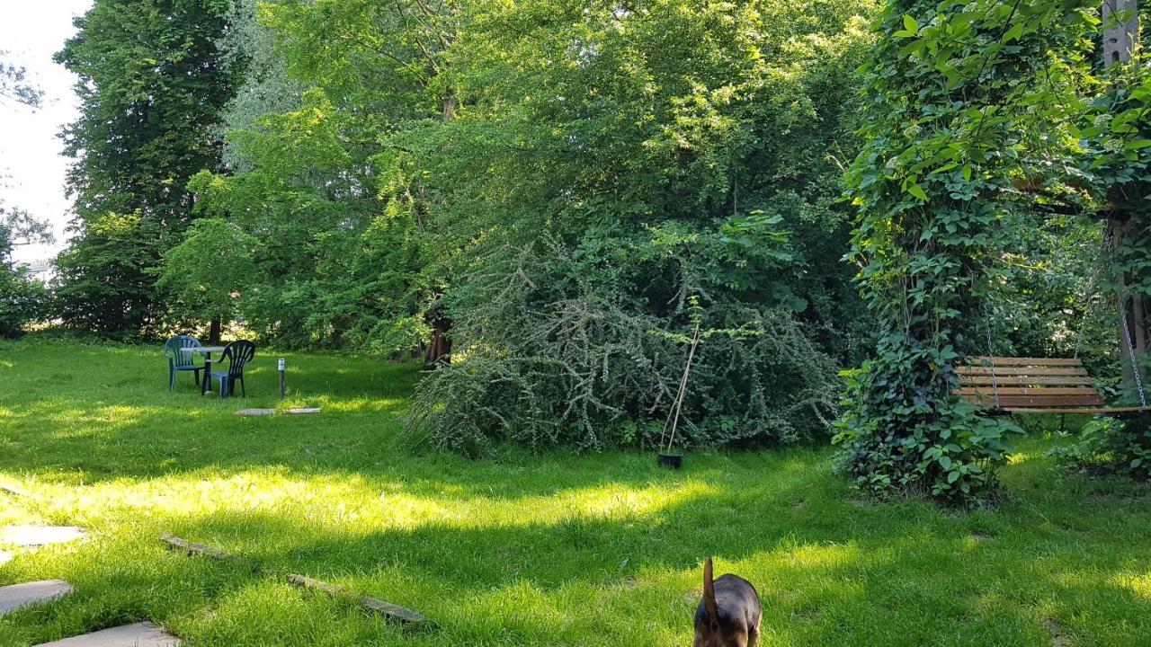 Gospodarstwo Agroturystyczne Stary Mlyn Wilczkowice Michalowice  Εξωτερικό φωτογραφία