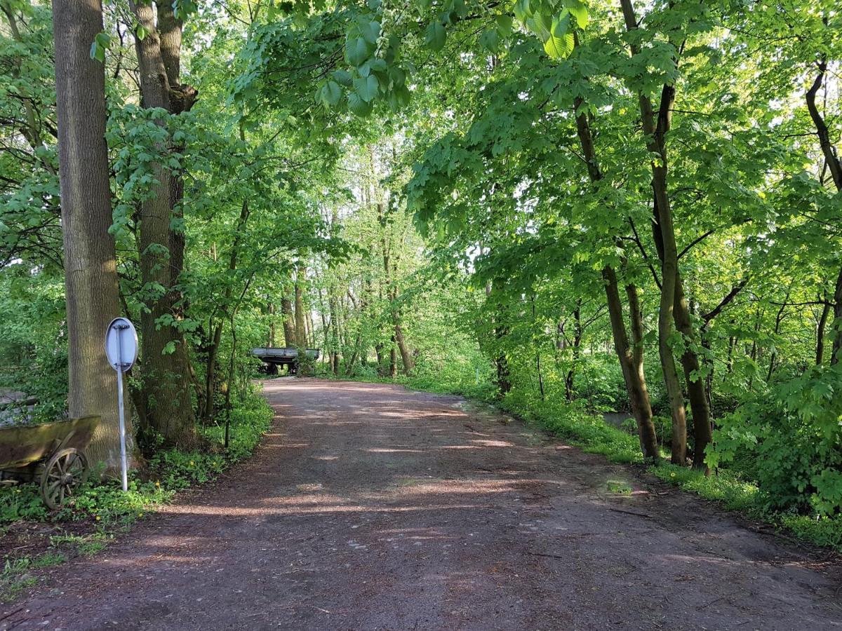 Gospodarstwo Agroturystyczne Stary Mlyn Wilczkowice Michalowice  Εξωτερικό φωτογραφία