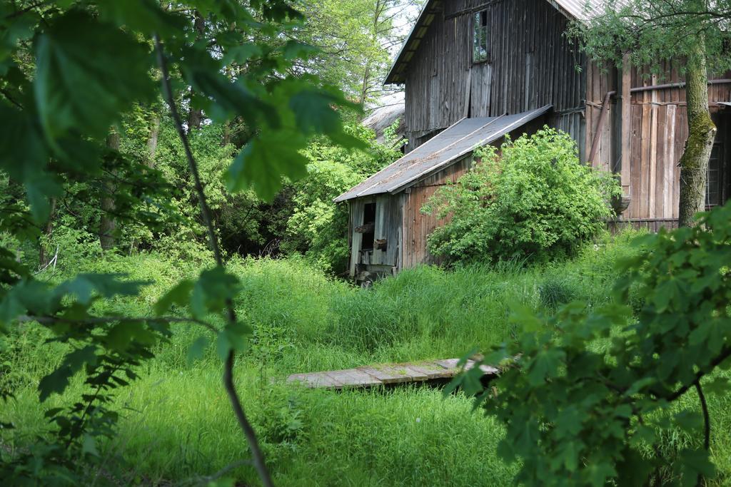 Gospodarstwo Agroturystyczne Stary Mlyn Wilczkowice Michalowice  Εξωτερικό φωτογραφία