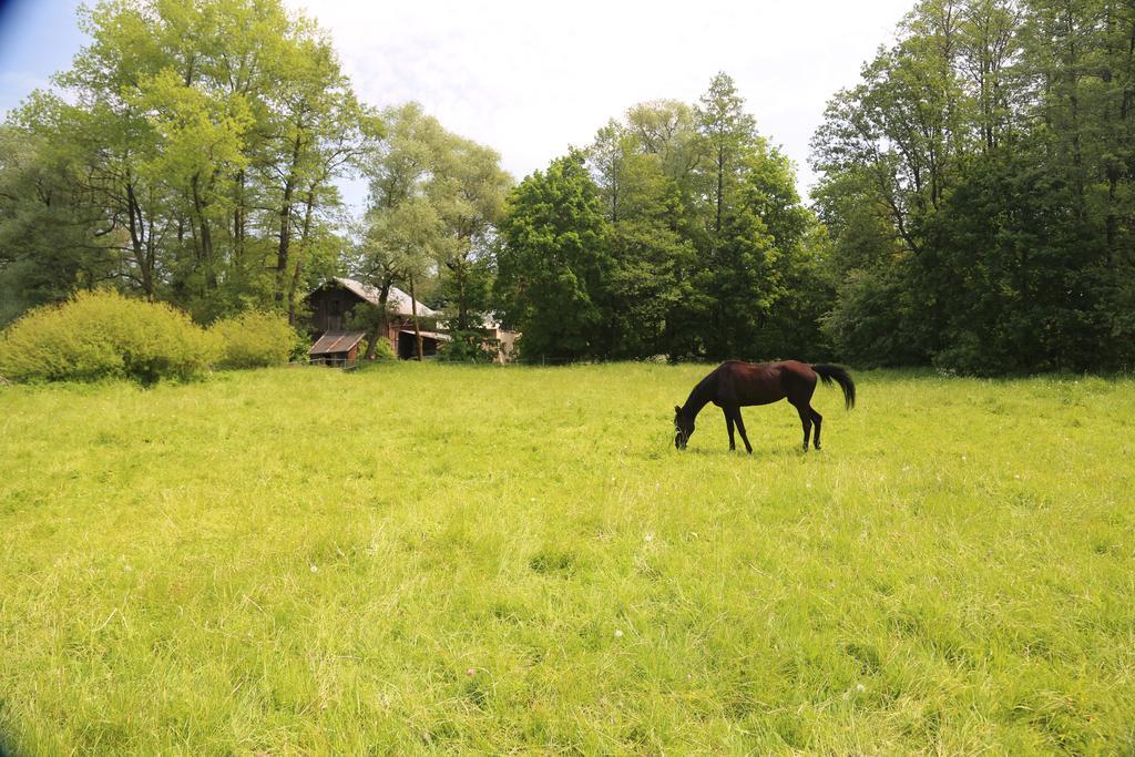 Gospodarstwo Agroturystyczne Stary Mlyn Wilczkowice Michalowice  Εξωτερικό φωτογραφία