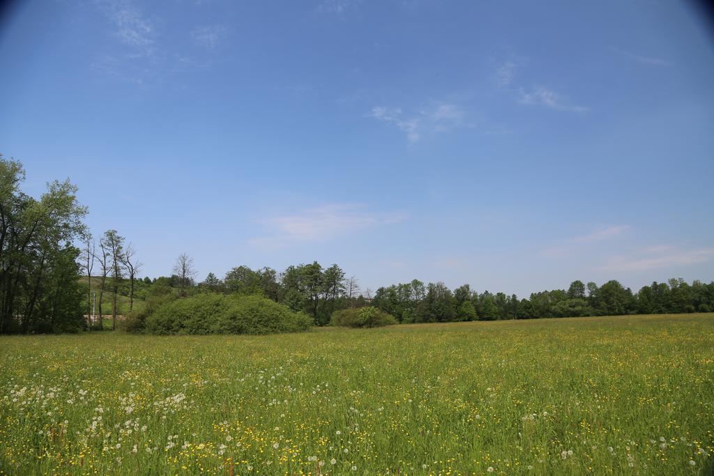 Gospodarstwo Agroturystyczne Stary Mlyn Wilczkowice Michalowice  Εξωτερικό φωτογραφία