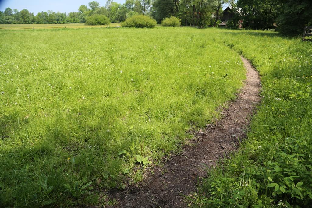 Gospodarstwo Agroturystyczne Stary Mlyn Wilczkowice Michalowice  Εξωτερικό φωτογραφία